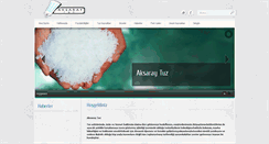 Desktop Screenshot of aksaraytuz.com